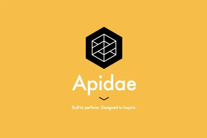 Apidae logo design, Ithaca New York